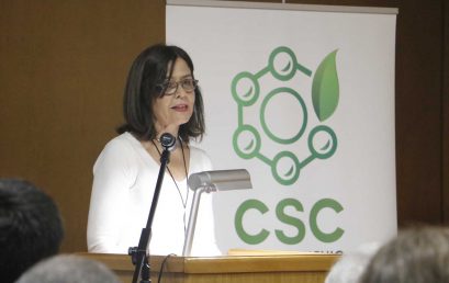 Académicos UdeC lanzan Núcleo Milenio CSC