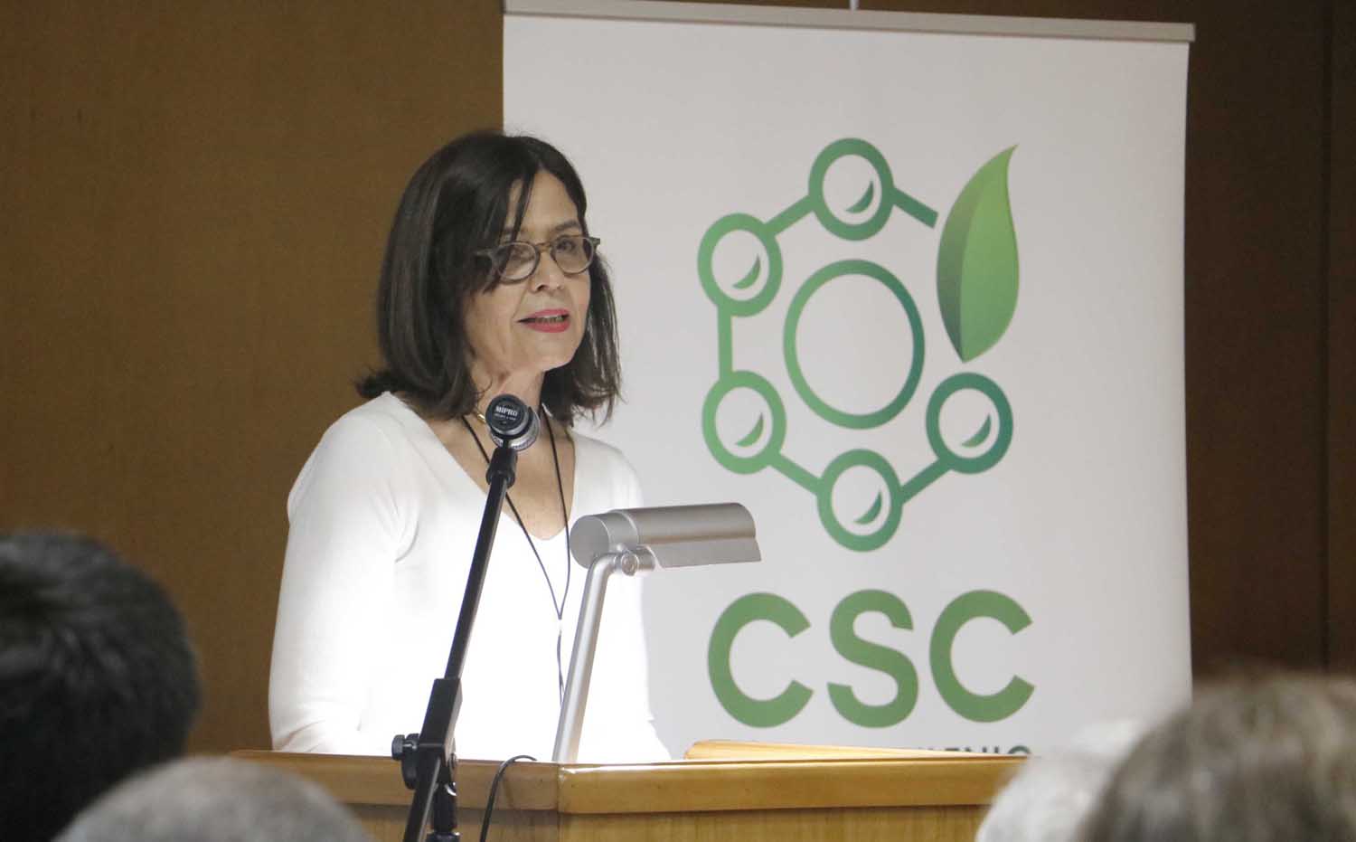 Académicos UdeC lanzan Núcleo Milenio CSC