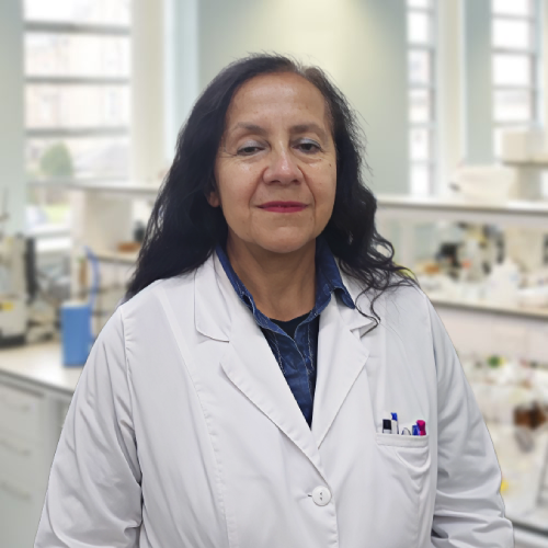 Giralda Mena Sánchez