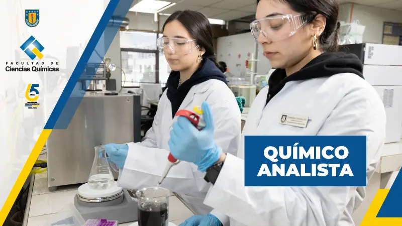 Quimico Analista Fcq Udec 2024