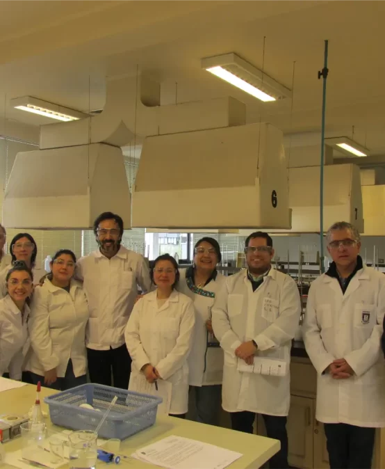 Primera versión de diplomado UdeC para docentes escolares avanza en la actualización de conocimientos en Ciencias Naturales