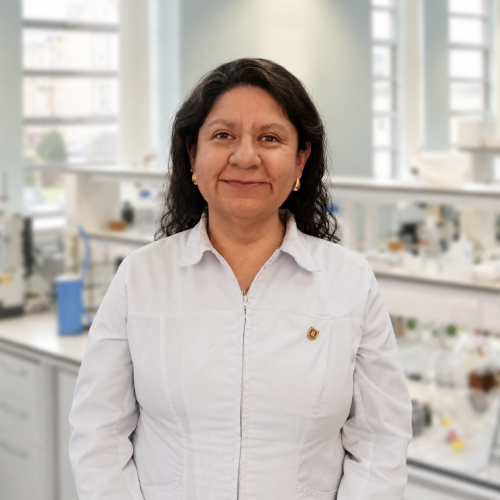 Alejandra Lozano Aravena
